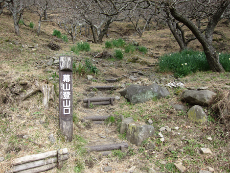 20200122hike (22)
